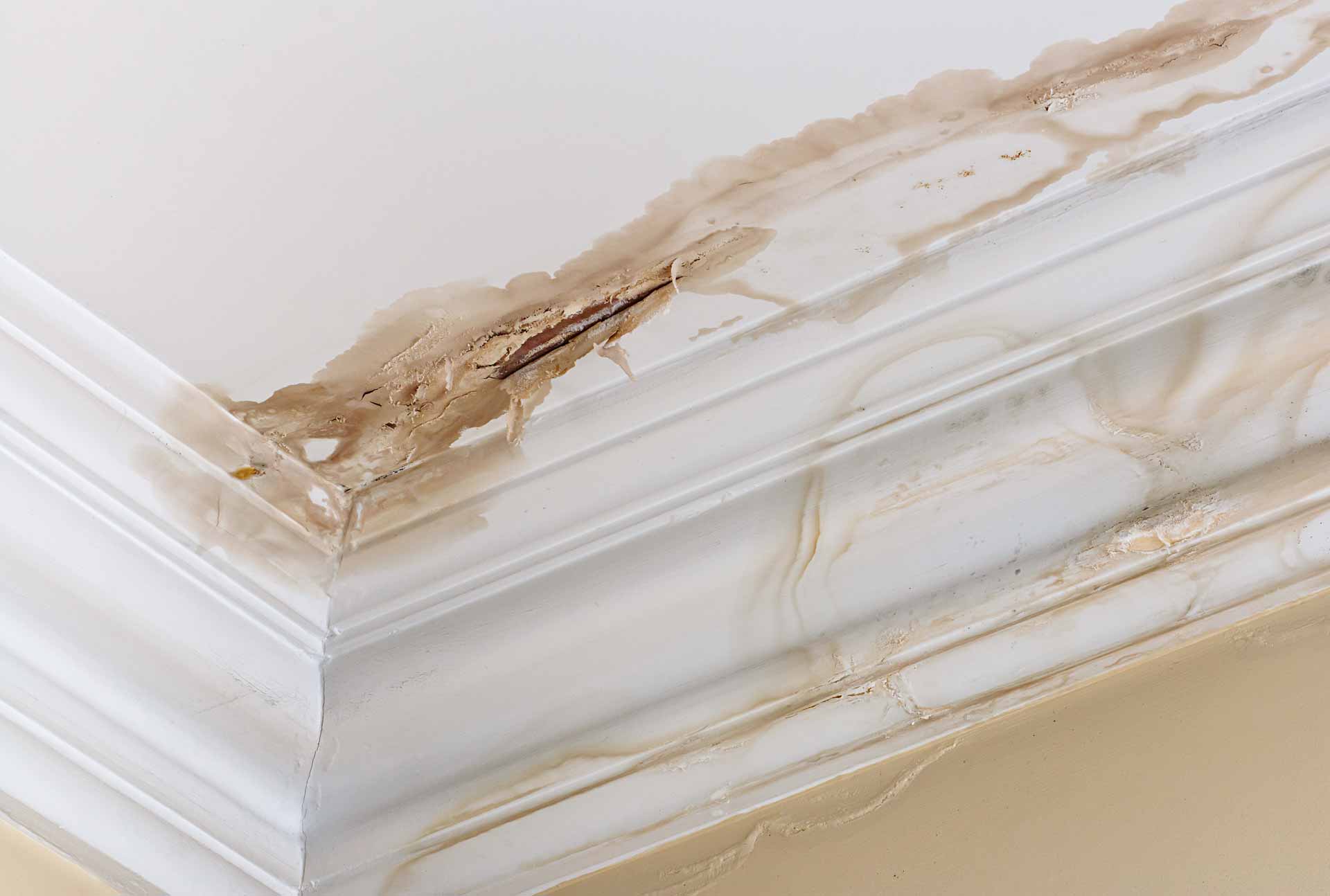 close up on water damaged ceiling