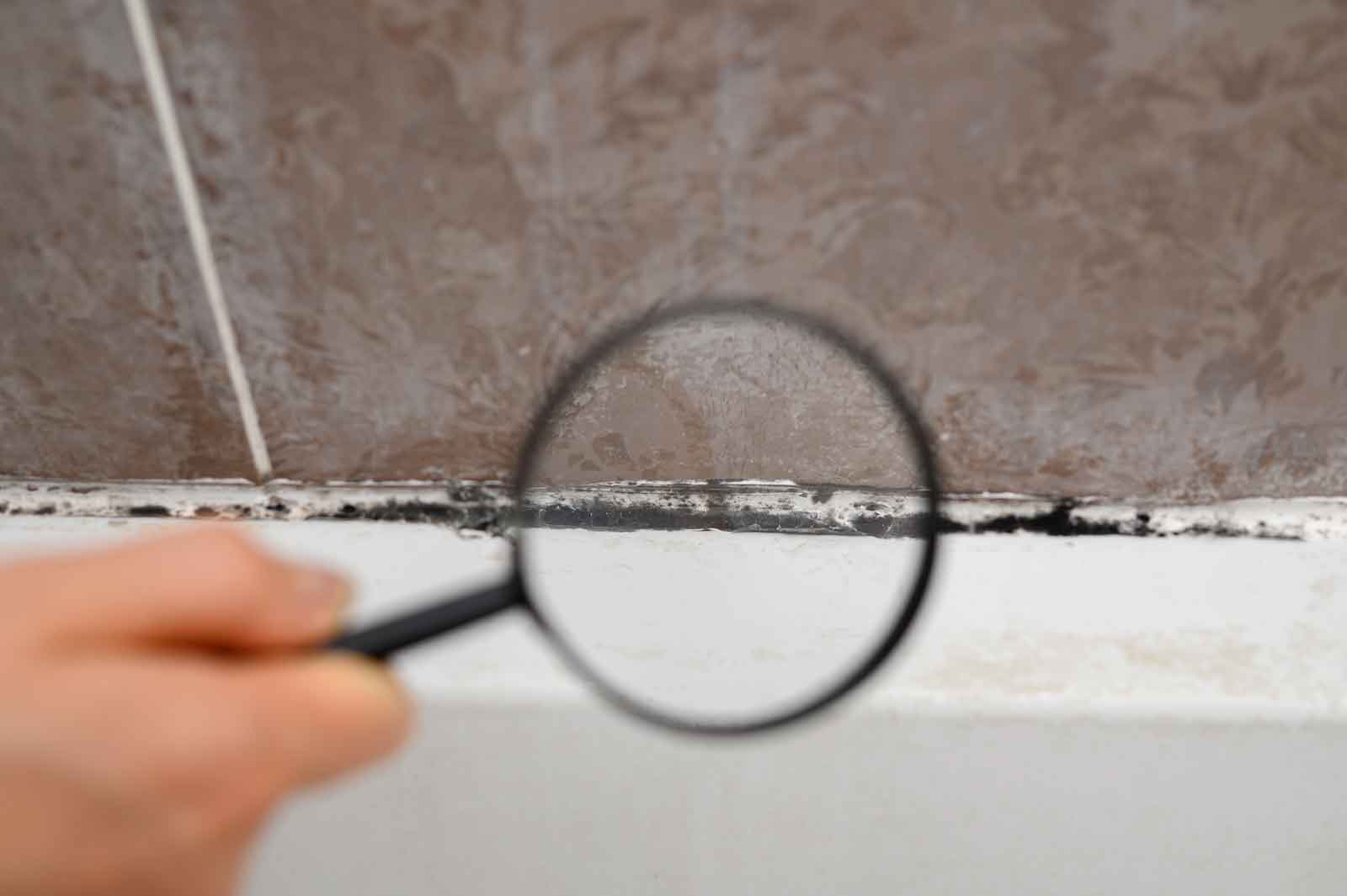 Magnifying glass held up to black mold in shower